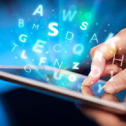 佛山項目投資價值及穩(wěn)定回報論證報告