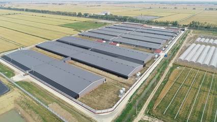 江蘇農業農村重大項目投資規模創新高，近千項目總投資超2200億元